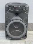 Kolumna glosnik bluetooth Manta SPK5023