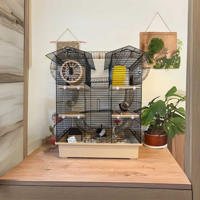 KLATKA dla chomika myszki XXL domek kołowrotek NOWA z dodatkami DUŻA