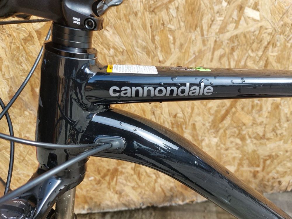Cannondale Trail SE 4 XL/Grey