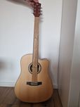 Gitara  PYLEUsa-model PGA480NT