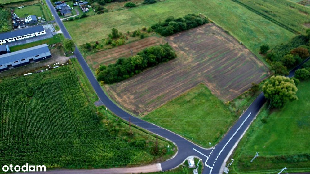 Działka 1700 m² w spokojnej lokalizacji