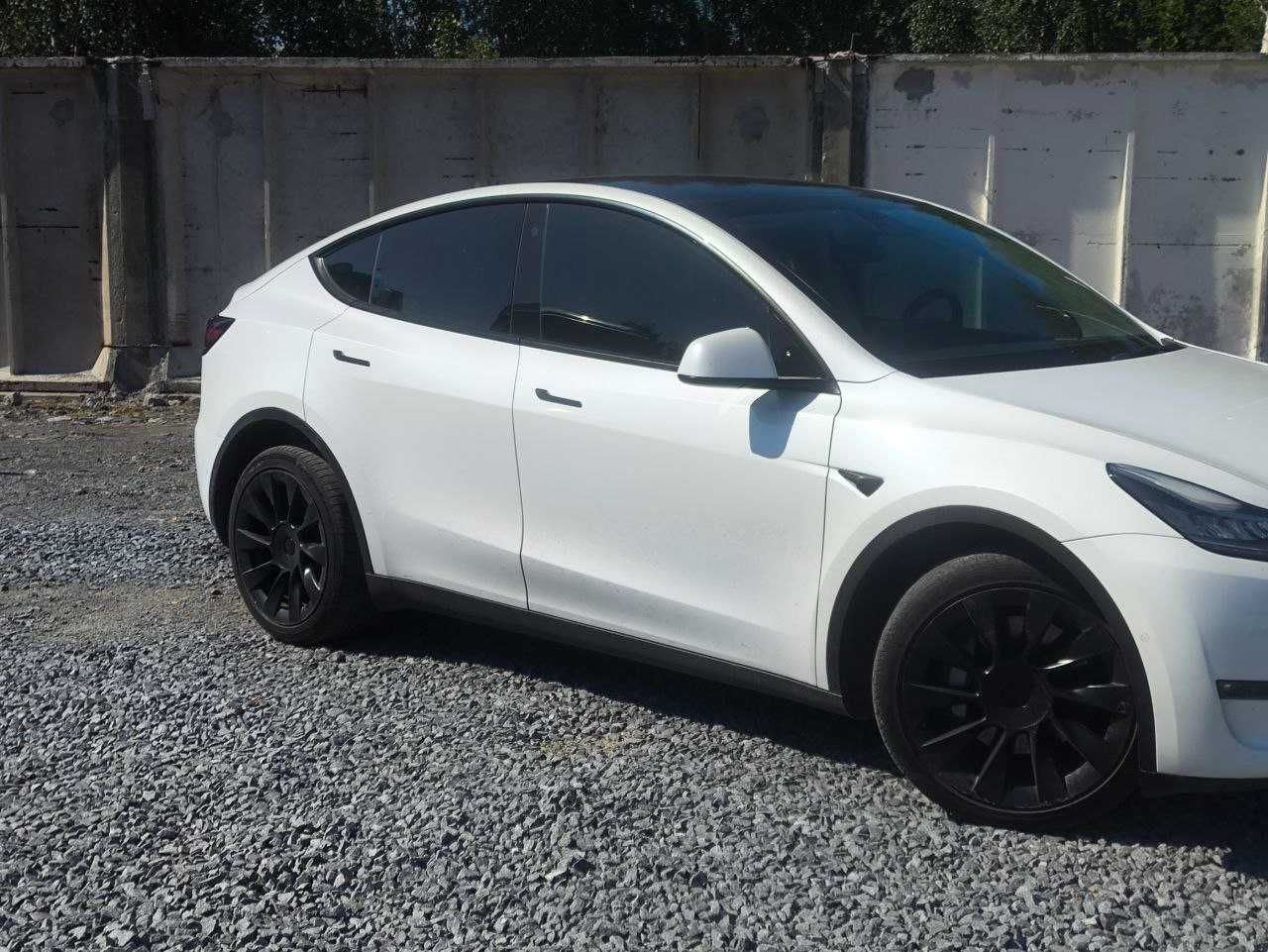 Tesla Model Y Long Range Dual Motor 21рік