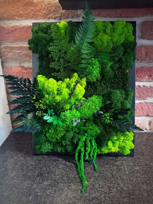 Obraz 30 x 40cm rośliny stabilizowane żywy mech