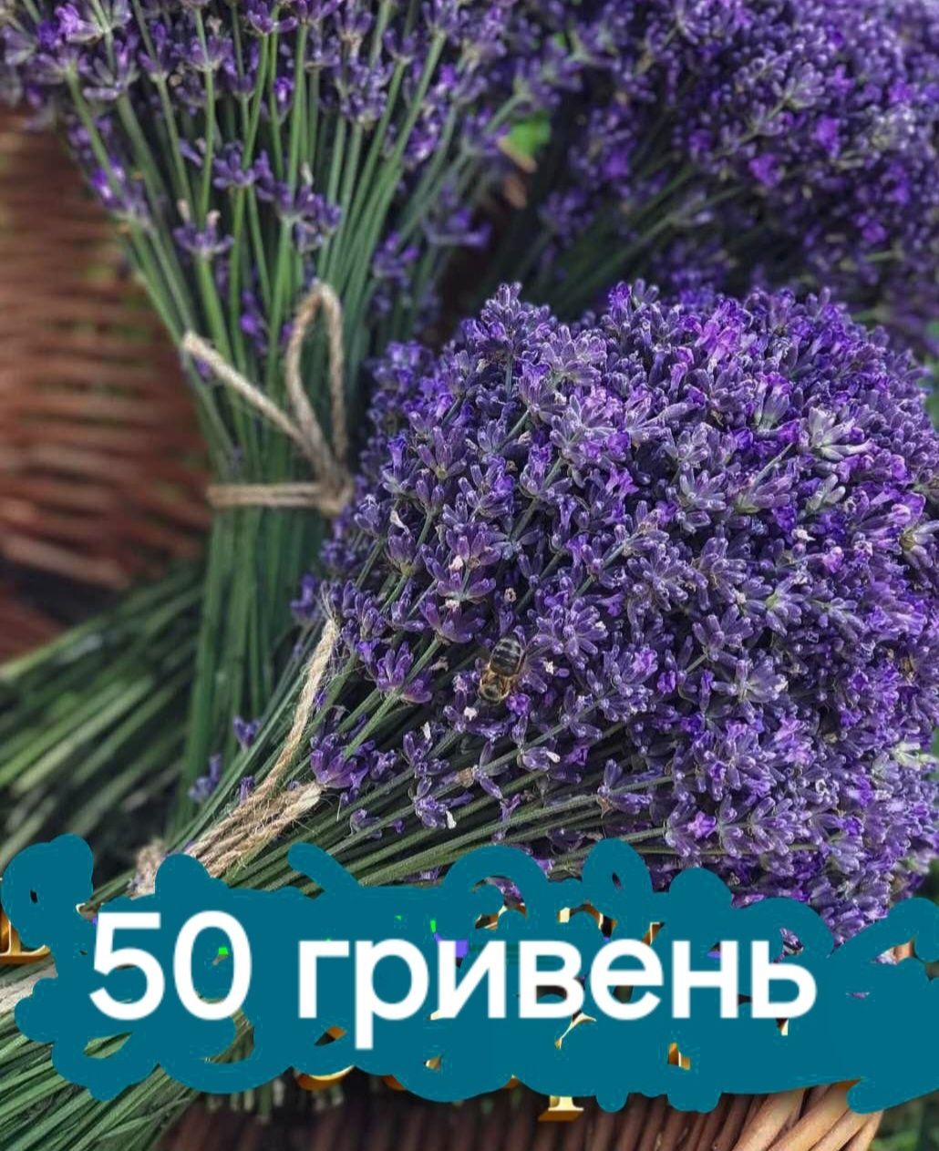 Лаванда.Букет.Свіжа.