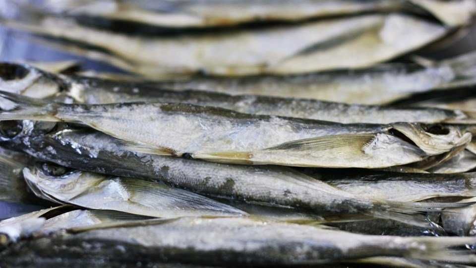 Чехонь в'ялена або риба-шабля 100-200гр/шт, вакуум +-1кг