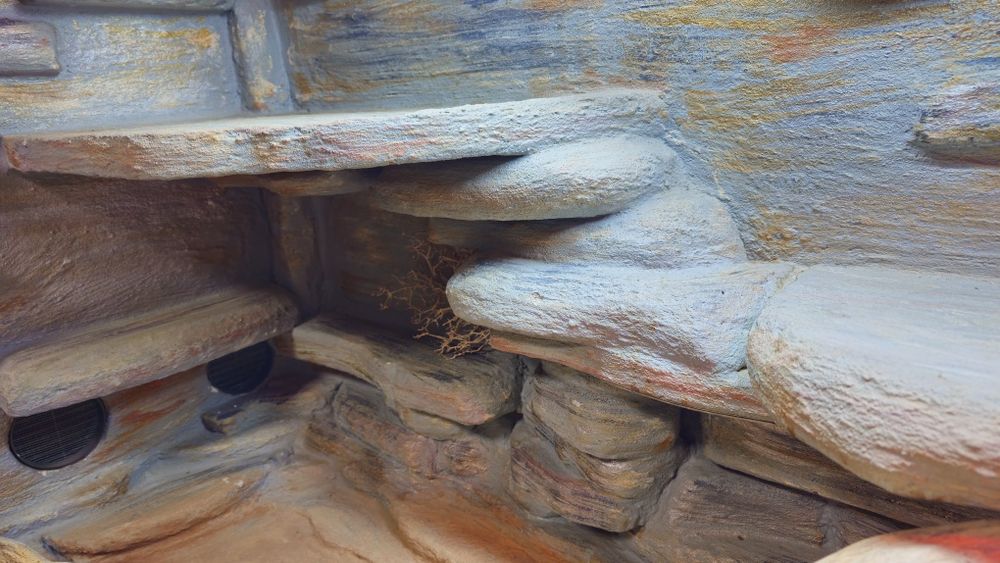 Terrarium  duże masywne