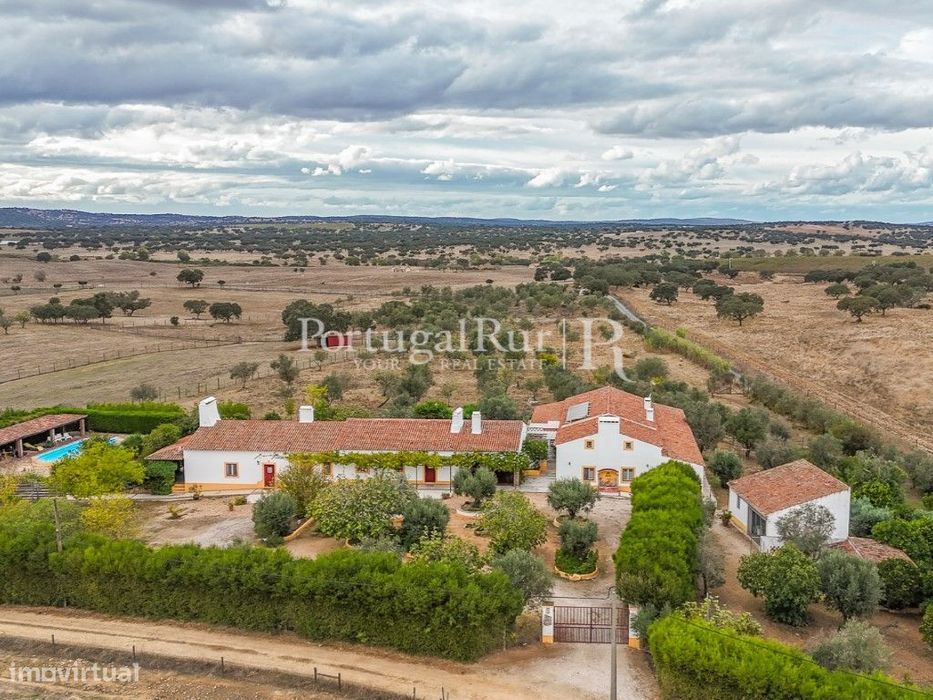 Monte de 4,8 hectares com Moradia T11 para Turismo Rural