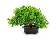 Drzewko bonsai w doniczce sztuczna roślina dekoracyjna 30cm