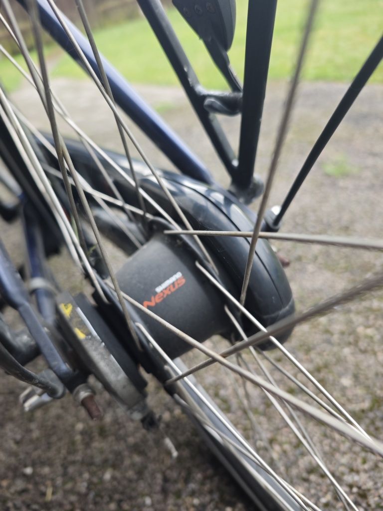 Rower męski Trek Nexus 7 koła 28 "