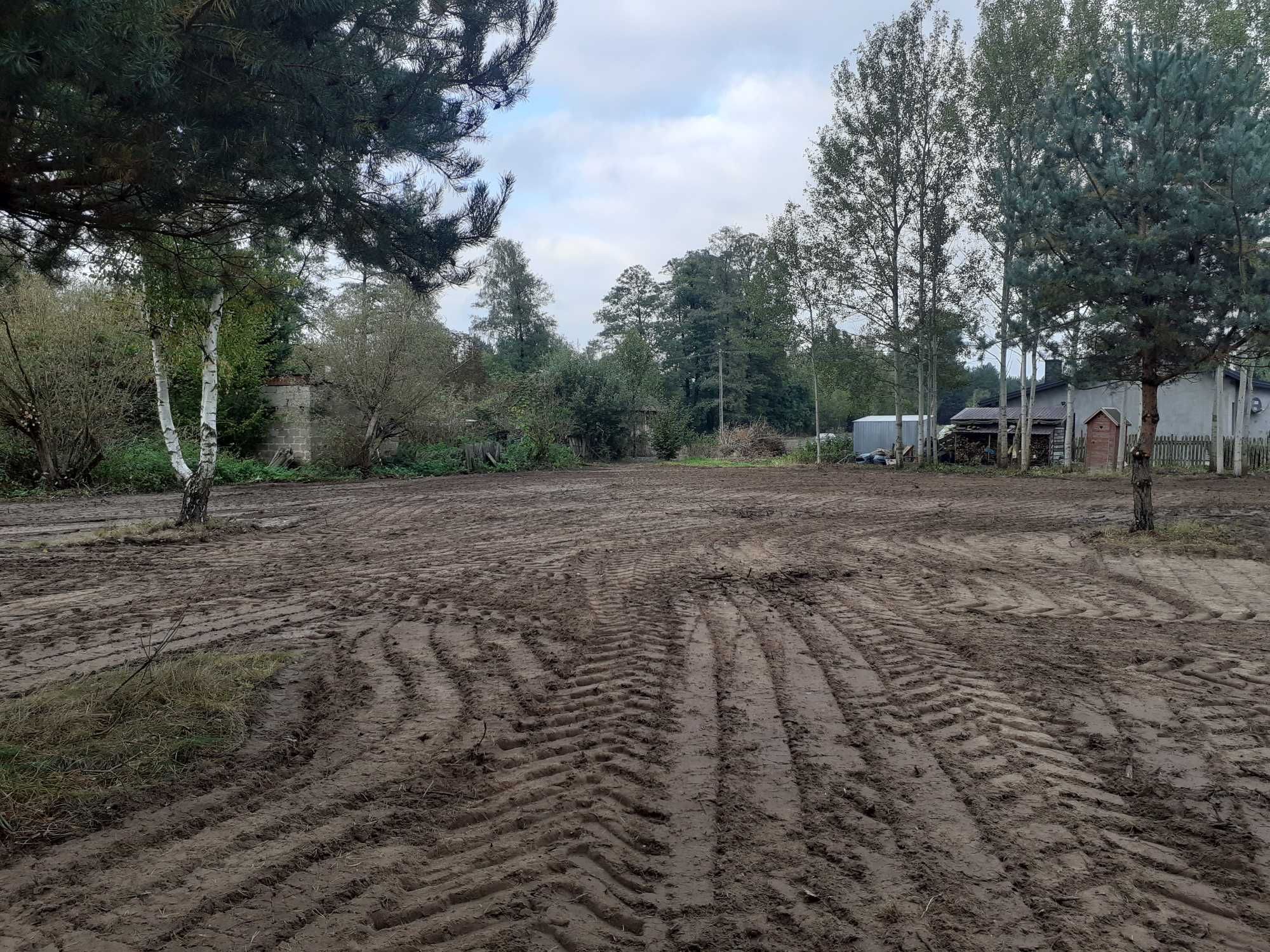czyszczenie działek  mulczer usuwanie zarośli samosiejek wycinka drzew