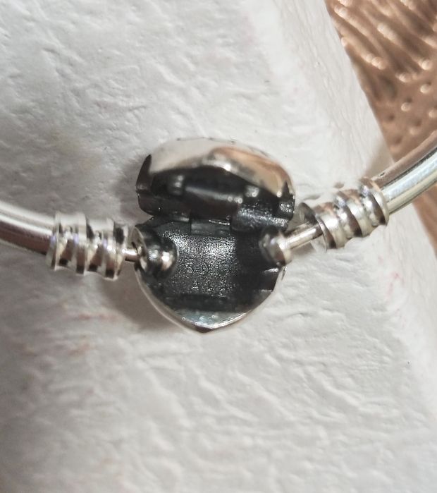 Bransoletka Pandora bangle Moment's S925 ALE rozmiar 19