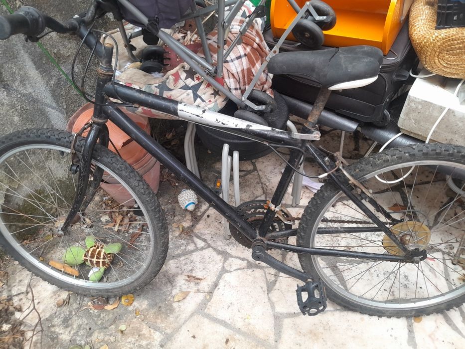 Bicicleta de montanha de adulto 20€