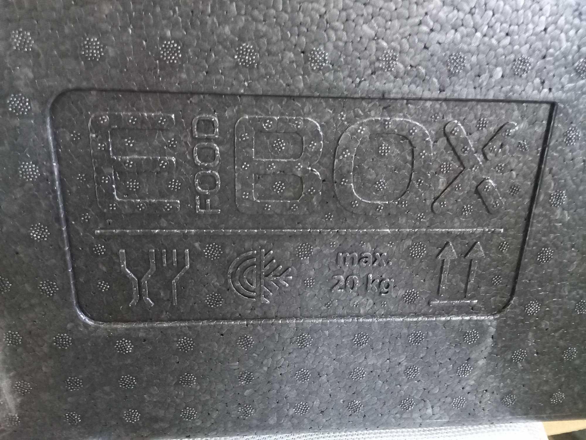 Caixa térmica de frio negativo E BOX 60 litros NOVA