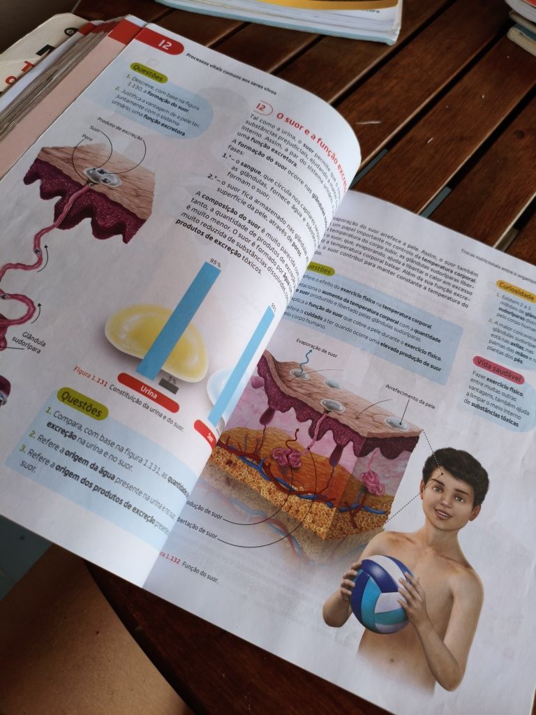 CienTic 6, manual