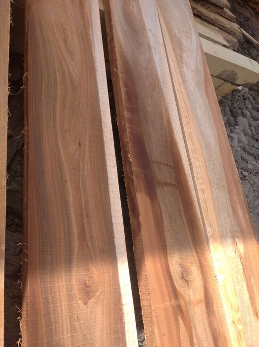 Дошка берест продам