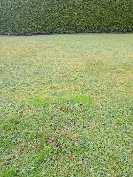 Działka budowlana Płośnica