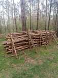 Drewno sezonowane sosnowe