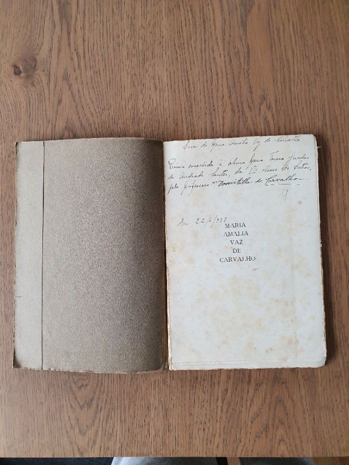 Livro Maria Amalia Vaz de Carvalho - Domitila de Carvalho