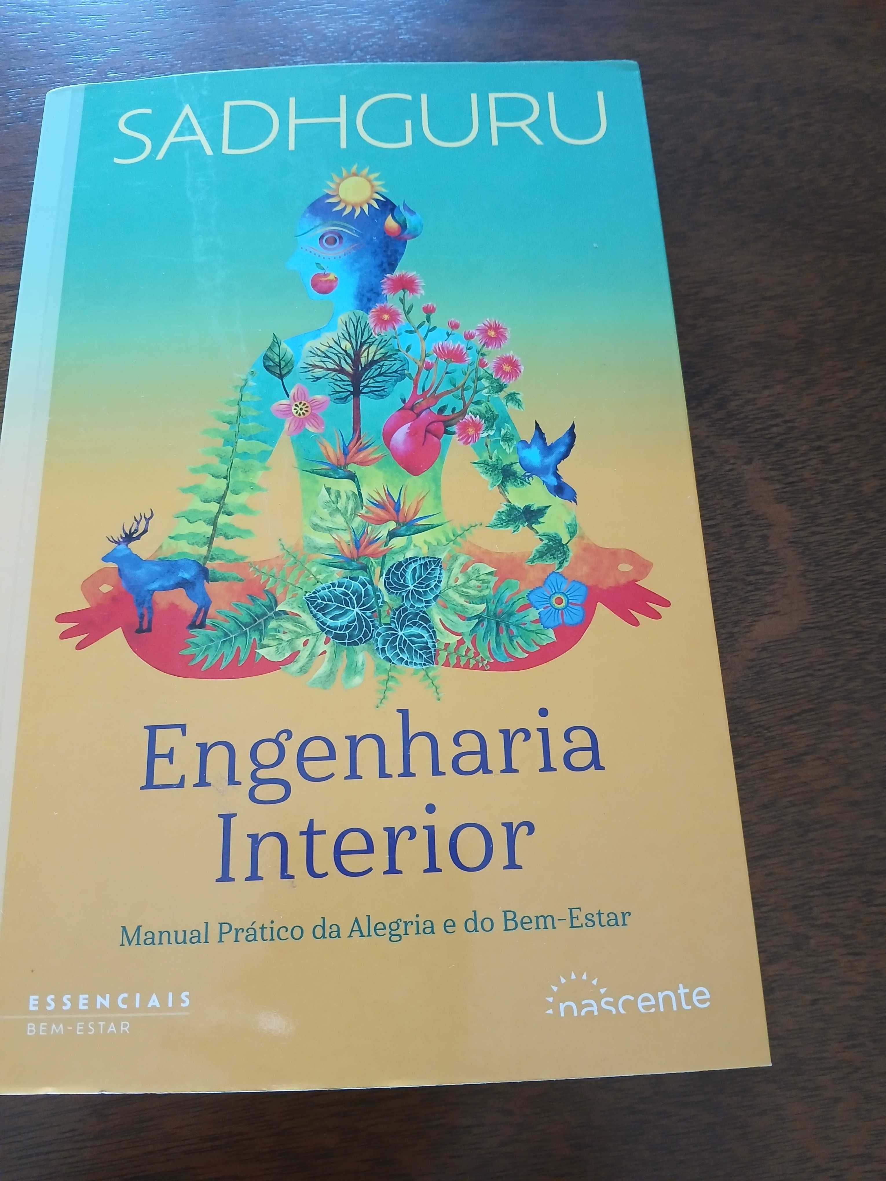 Livro Engenharia Interior. Livro Novo.