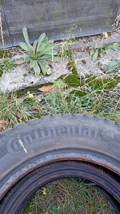 Продам r -14 резину зима