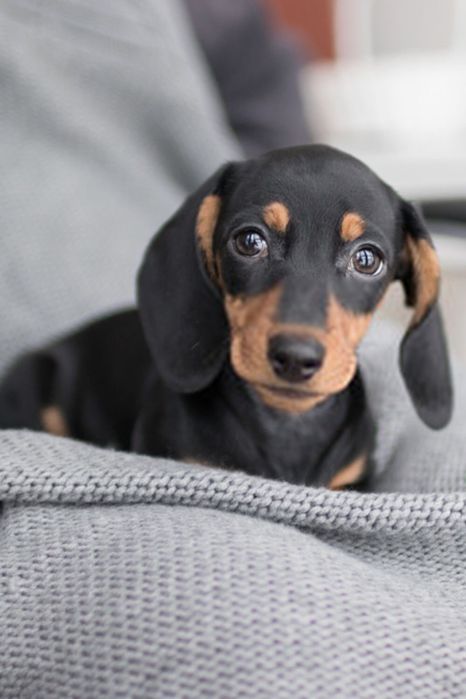 Маленька принцеса, дуже красивенька