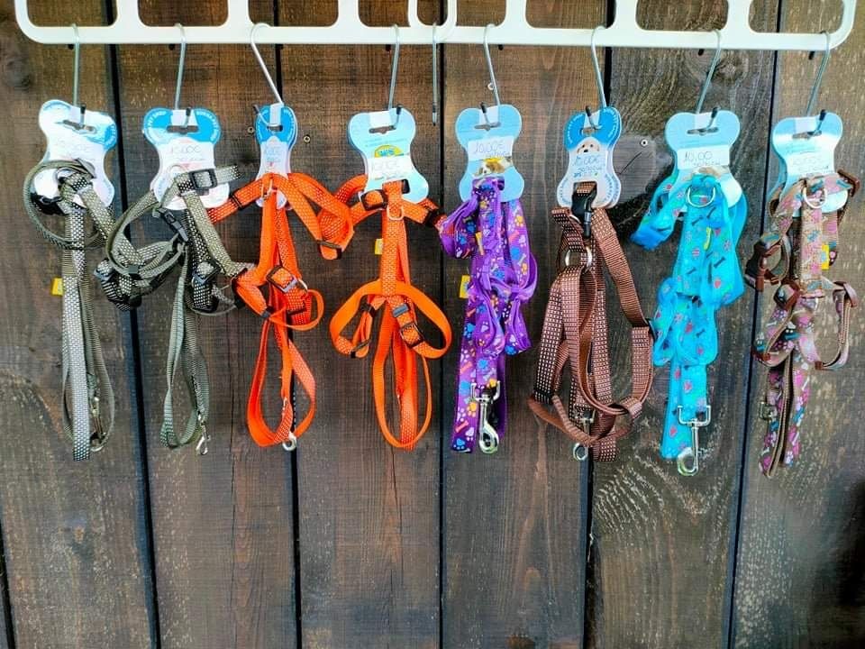 Lote vários acessórios de animais