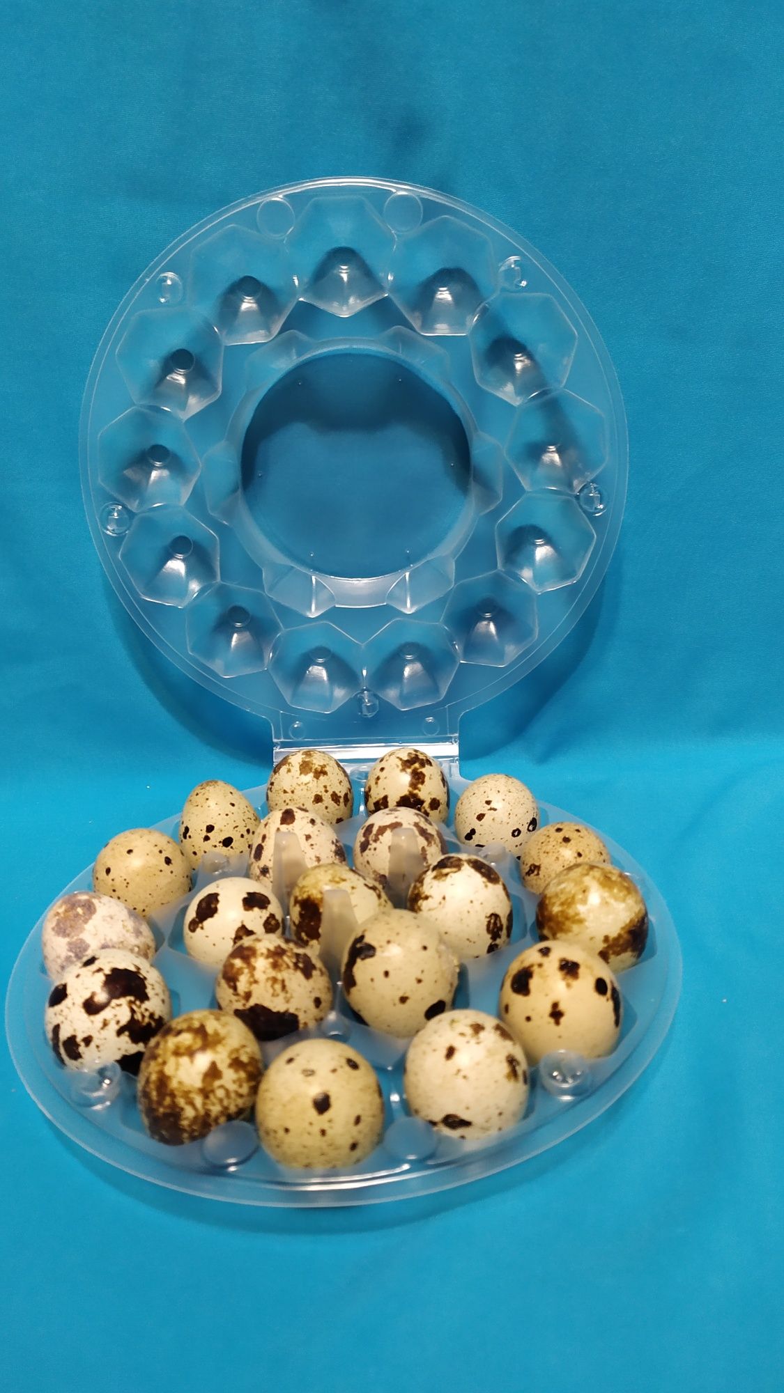 Упаковка для перепелиних яєць круглої форми