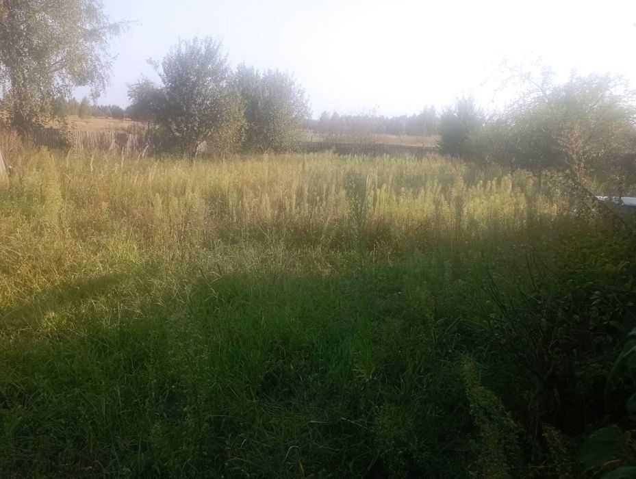 Продаю земельну ділянку від власника