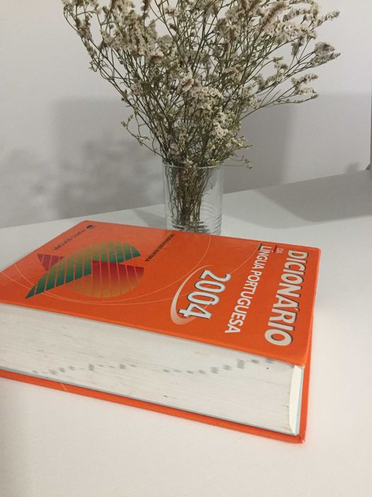 Dicionário da Língua Portuguesa