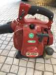Aspirador-soprador Efco 3000 a gasolina
