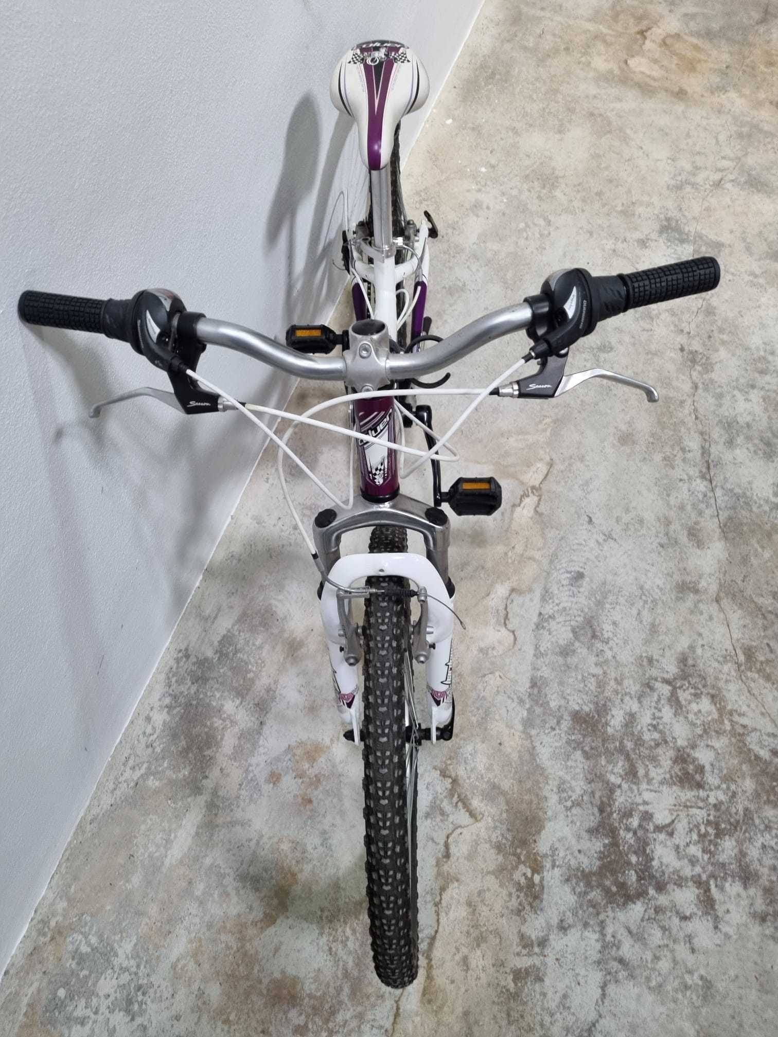 Bicicleta Coluer 240