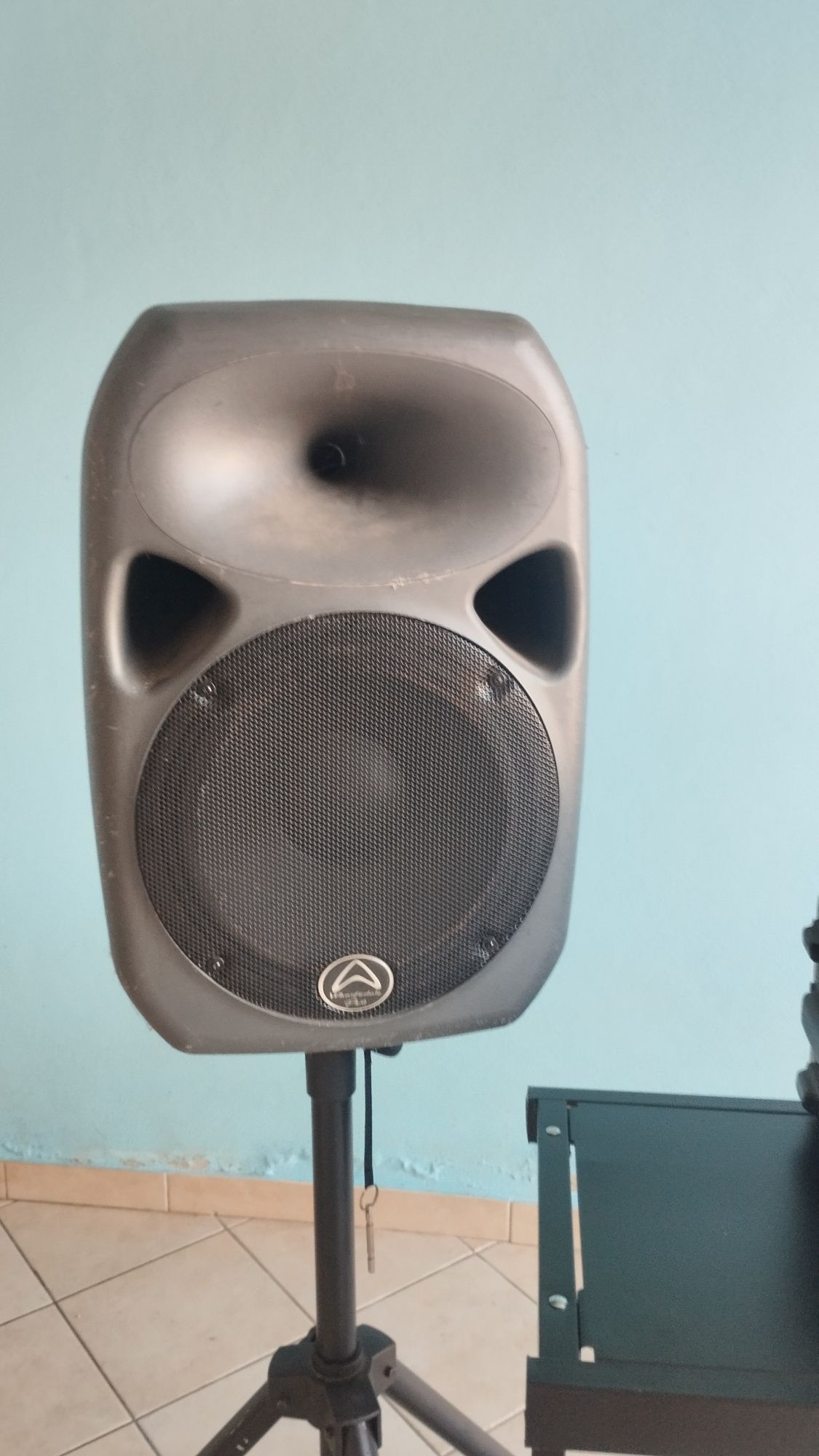 PA 12' de 2000 watts