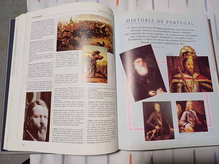 Dicionário Ilustrado do Conhecimento Essencial