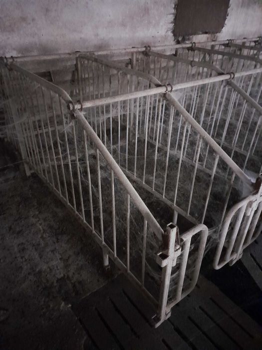 Wyposażenie chlewni paszociąg ruszt deska wygrodzenie zbiornik silos