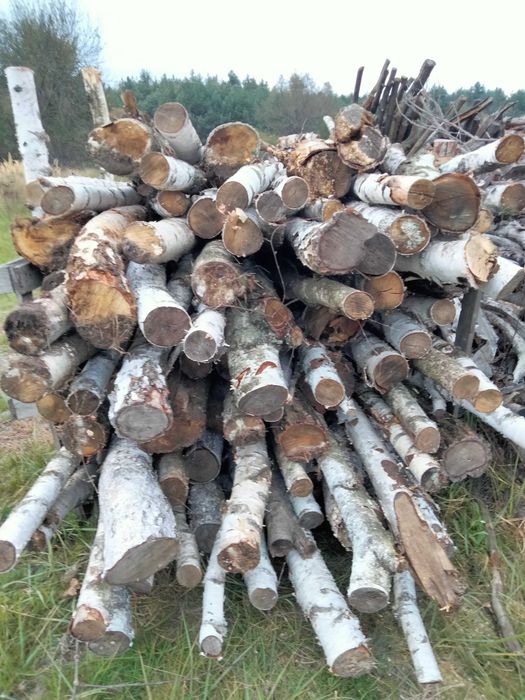 Drewno opałowe Brzóza ,sosna