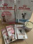 Zestaw karm dla kota Royal Canin