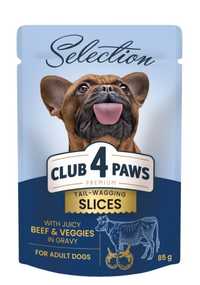 Club 4 Paws Premium Plus Selection