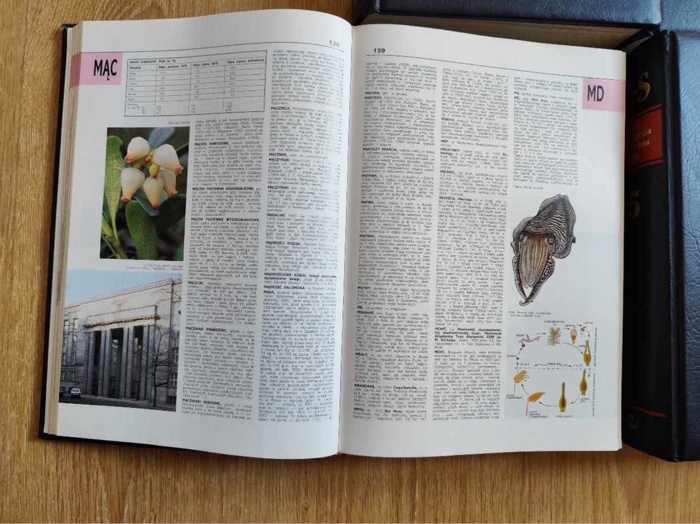 Encyklopedia powszechna PWN 6 tomów