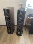 Focal chorus 826v noyer
