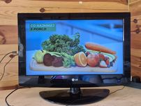 Telewizor LG263100