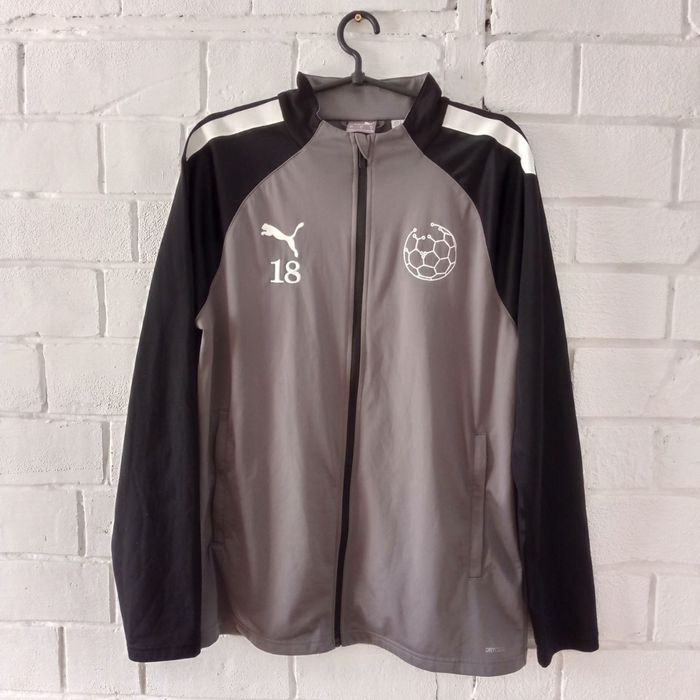 The north face SOFTSHELL кофта олимпийка свитер
