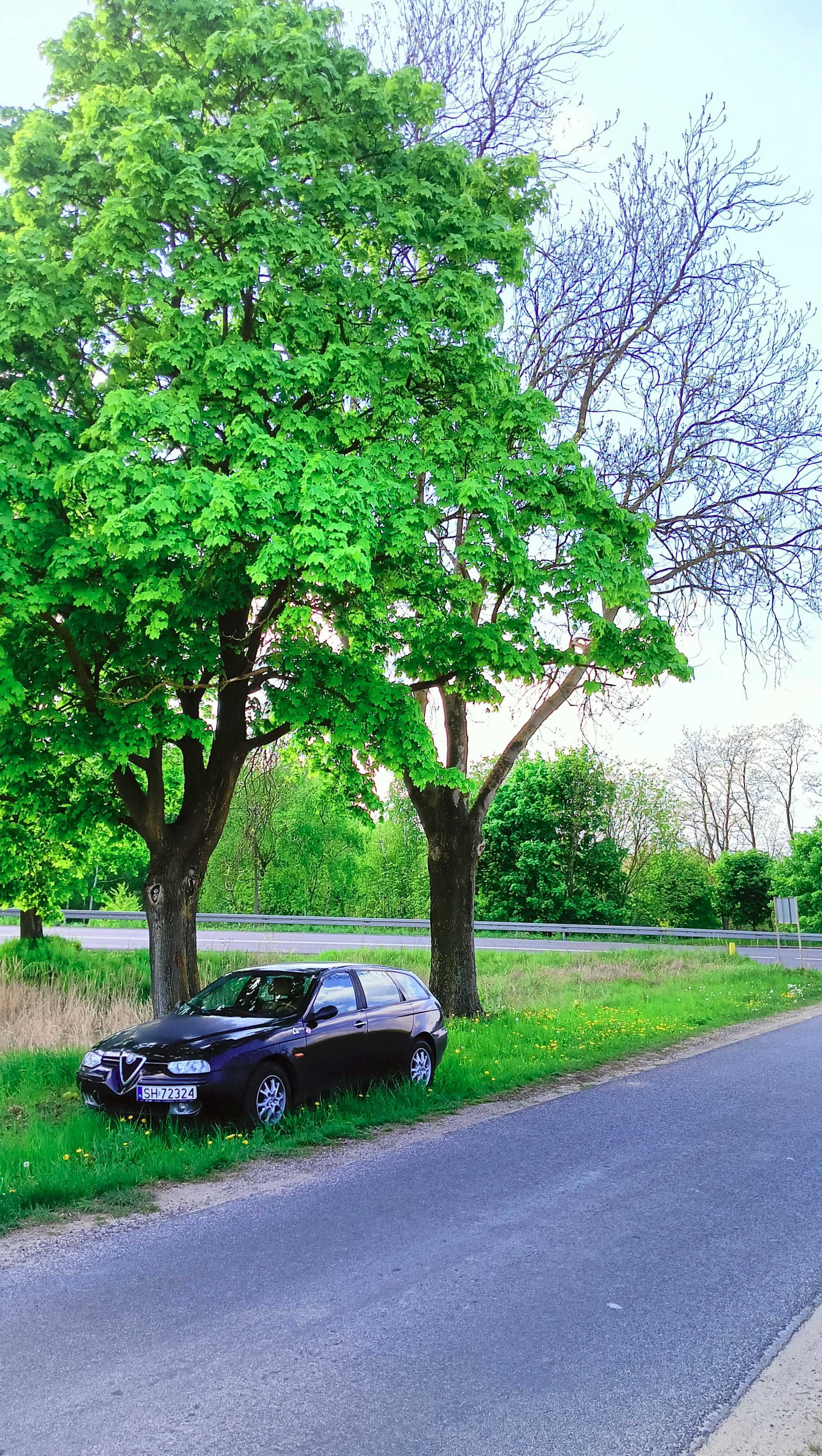 Alfa Romeo 156 1.8+LPG (dużo dobrych części)