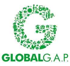 Przygotowanie gospoadarstwa do certyfikacji Global Gap , GlobalGap