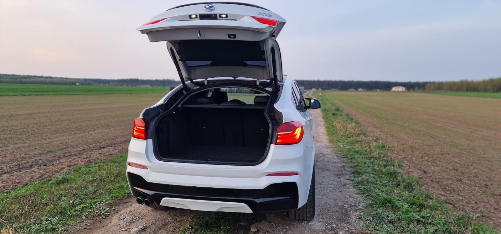 BMW X4 F26 2.0 226km  2017r Zarejestrowany