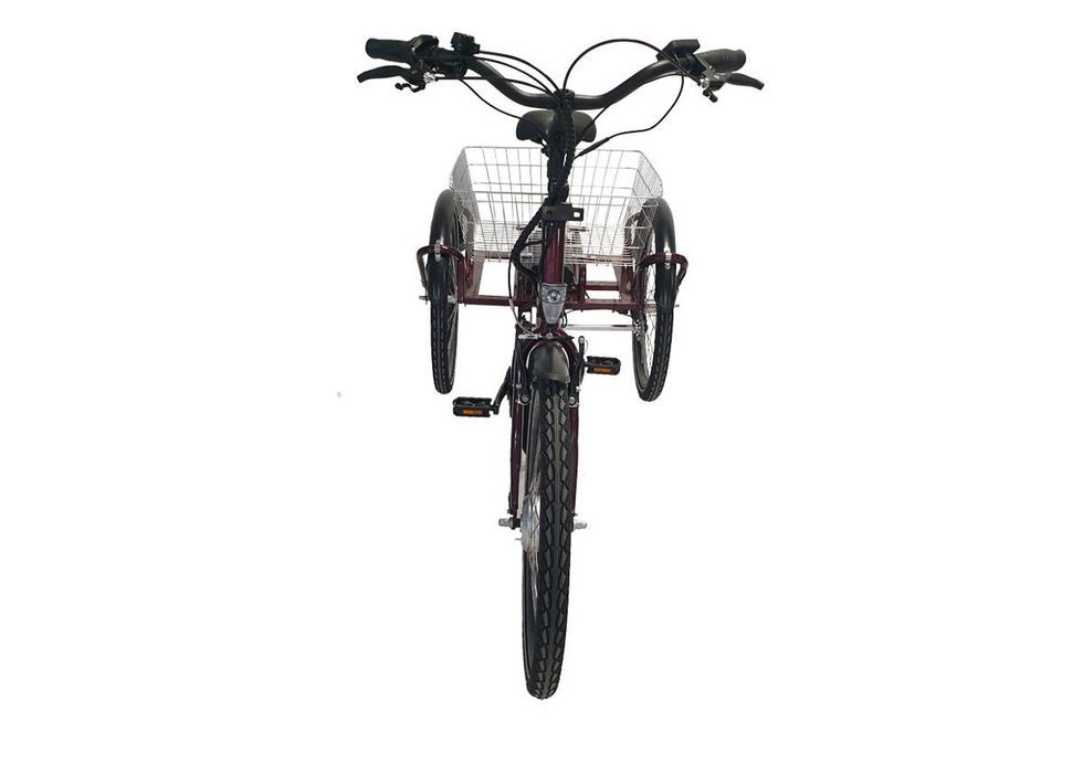 Trójkołowy rower elektryczny Geobike EcoEDITION MAXI