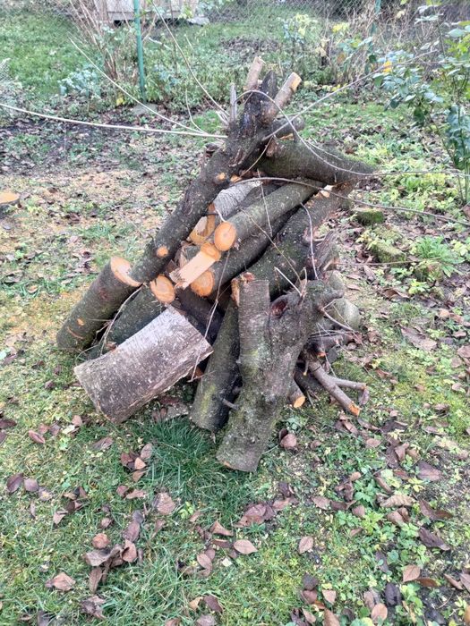 Різані садові дрова кругляки яблуня горіх вишня