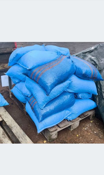 Węgiel kamienny orzech