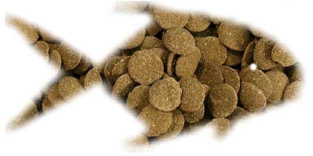 ALGEN-WAFERS wafle dla roślinożerców 50g GLONOJAD