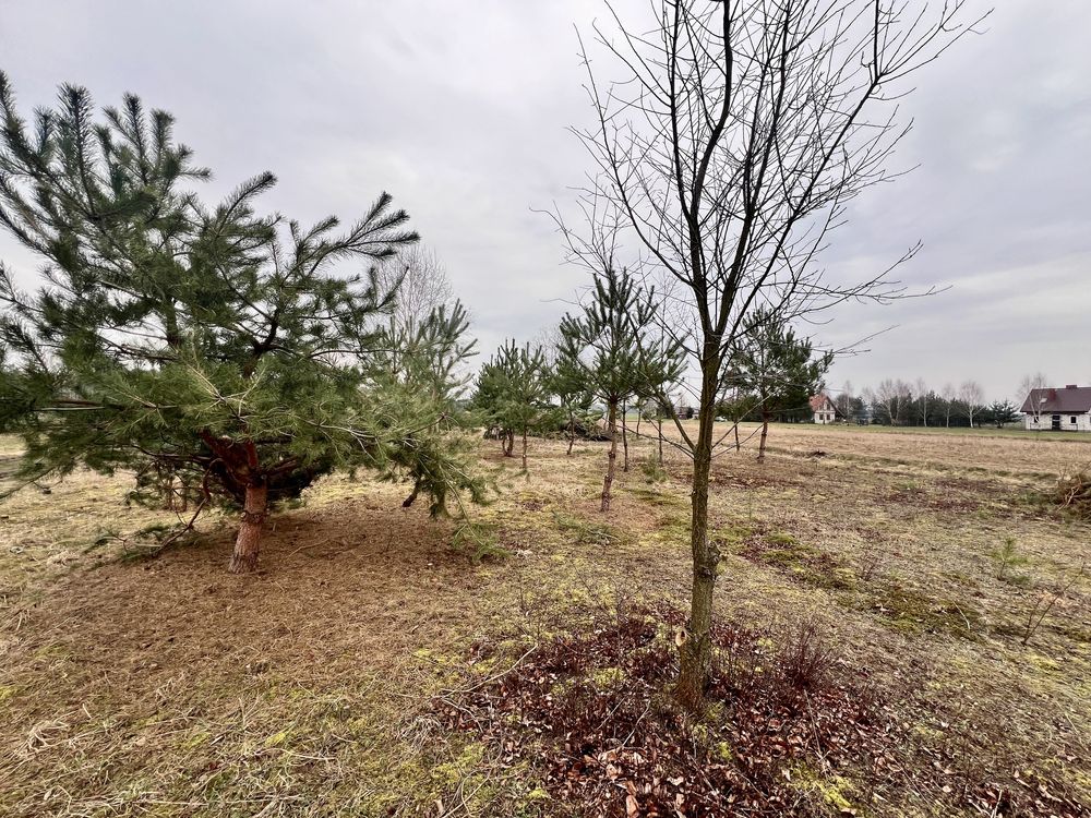DZIAŁKA Budowlana MPZP802m2 Siedlisko Rzeka Wkra Las Cisza Zadrzewiona