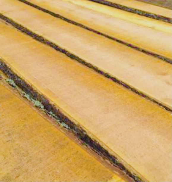 Соснова і вільхова дошка камерної сушки